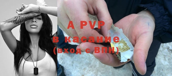 прущие грибы Верхнеуральск