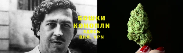 прущие грибы Верхнеуральск