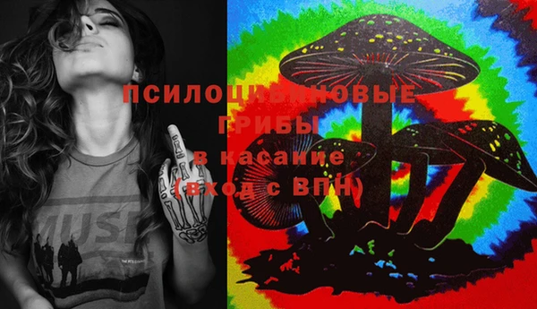 эйфоретик Верхний Тагил